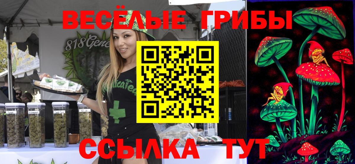 Псилоцибиновые грибы ЛСД Саранск