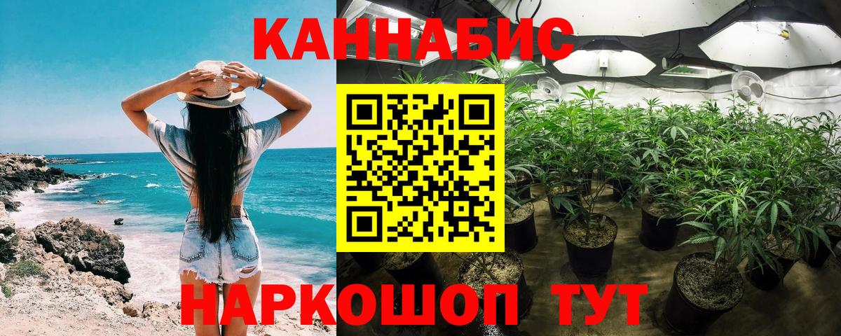 Канабис SATIVA & INDICA  Конопля план  Шишки марихуана планчик  Бошки Шишки OG Kush  Саранск  Вход с VPN 