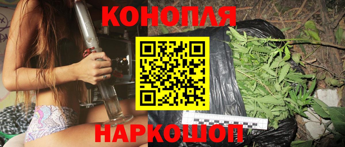 МАРИХУАНА конопля Саранск
